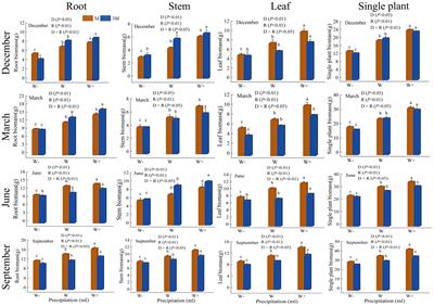 Effects of rainfall patterns in dry and rainy seasons on the biomass, ecostoichiometric characteristics, and NSC content of Fraxinus malacophylla seedlings